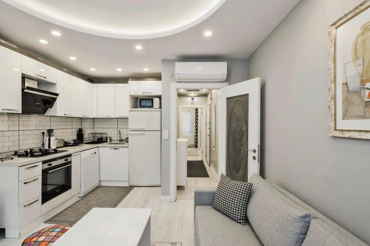 Taksim Devrim House Apartment Istanbul 0*,